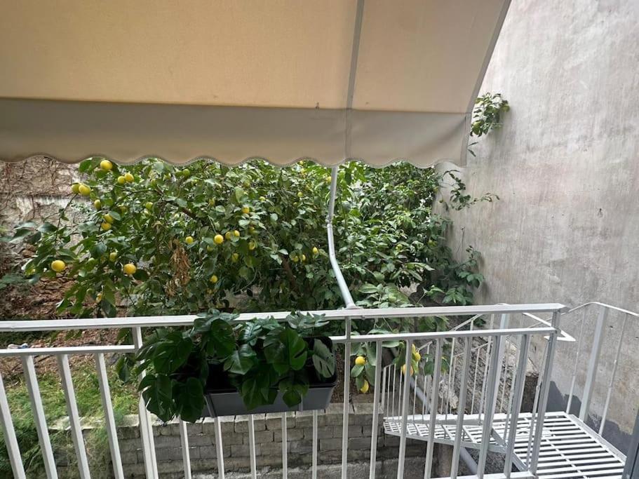 Spacious Stulish 2 Bd Flat Athen