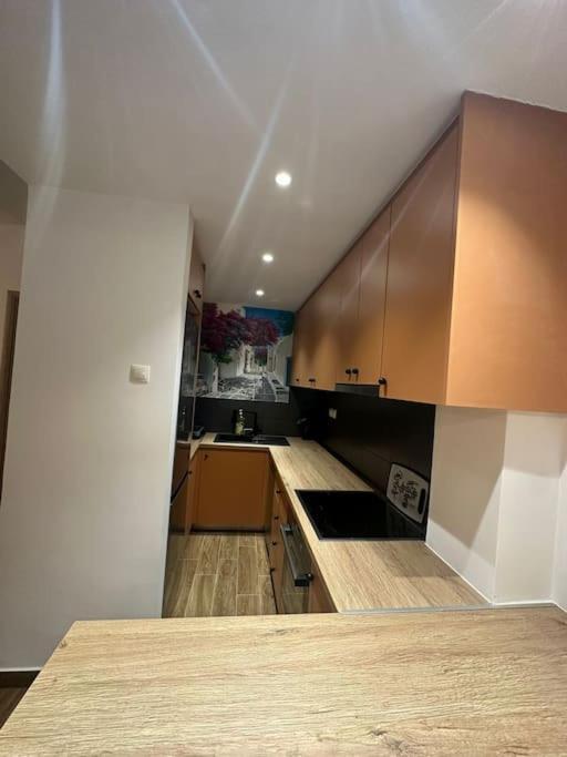 Spacious Stulish 2 Bd Flat Apartment Athen